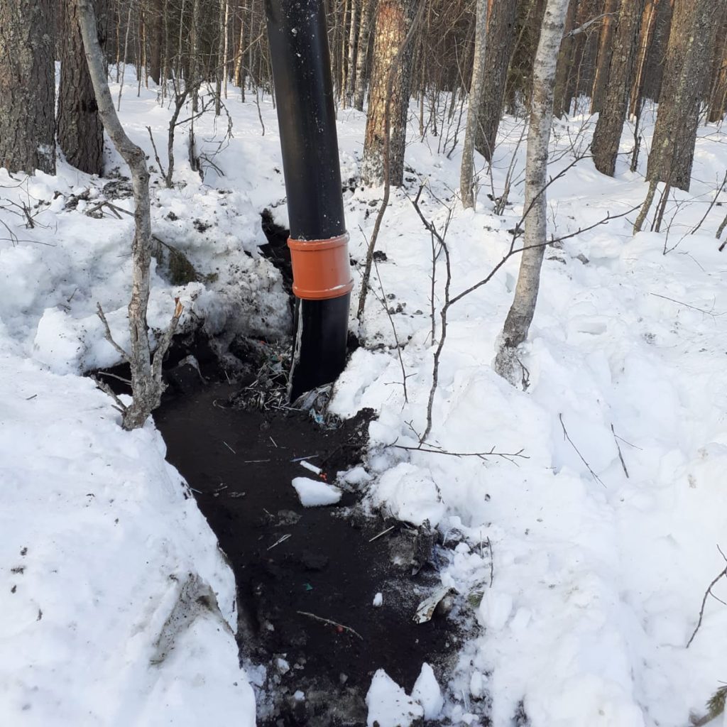 Luminen metsä, musta muoviputki, jonka juurella roskaa ja tummaa nestettä.